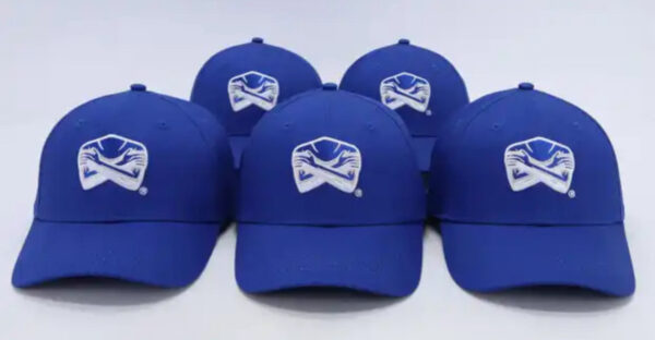 Blue Baseball Cap Logo